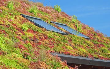 Haymoor End living roof systems