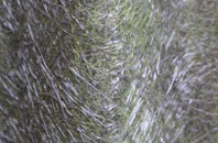 Haymoor End fibreglass roof work